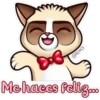 @lexa Me haces feliz...