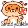 🦝Raccoon  cute🦝🇲 3