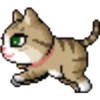 Gatitos bonitos 7
