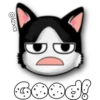 Face Cat 7