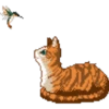 Gatitos bonitos 8