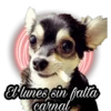ix Variados 8
