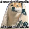 el perro de la decepción
THE
C
mira en tu dirección