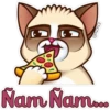 (6 @lexa Nam Nam