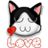 Face Cat 8