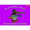 No me vuelvas a ofreser
DROGAS
PINGU
Mi unica droga es es diosito