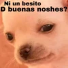 🐕PERRITO TOXICO2🐕 7