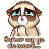 M @lexa Señor say yo de nuevo....