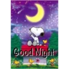 Good Night