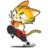 Gato ninja 5