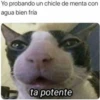 Yo probando un chicle de menta con
agua bien fría
ta potente