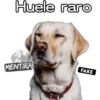 Huele raro MENTIRA FAKE