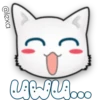 Face Cat 10