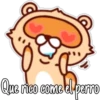 🦝Raccoon  cute🦝🇲 4
