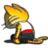 Gato ninja 7