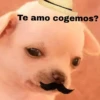 🐕PERRITO TOXICO2🐕 11
