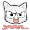 Face Cat 11