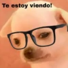 🐕PERRITO TOXICO2🐕 12