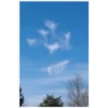 Ангелы на небесах 1 11