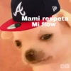 🐕PERRITO TOXICO2🐕 13