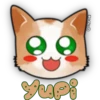 Face Cat 12