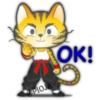Gato ninja 11