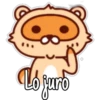 🦝Raccoon  cute🦝🇲 7