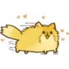 Perrito Pomerania 10