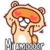 🦝Raccoon  cute🦝🇲 8
