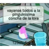 pa pelear 13