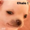 🐕PERRITO TOXICO2🐕 17