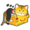 Gato ninja 12