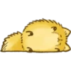 Perrito Pomerania 11