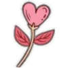 °Lovely ° 13