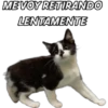 ME VOY RETIRANDO LENTAMENTE