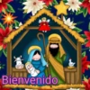2011
WE
Bienvenido