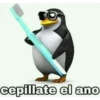 cepillate el ano
