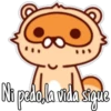 🦝Raccoon  cute🦝🇲 11