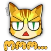 Face Cat 14
