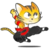 Gato ninja 13