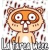 🦝Raccoon  cute🦝🇲 13