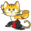Gato ninja 14