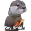 Soy timido