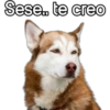 Sese.. te creo