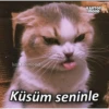 kartonmood
KARTON
MOOD
Küsüm seninle