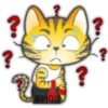 Gato ninja 15