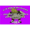 pa pelear 14