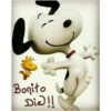 Bonito
Dia!!