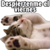 Despiertenme el viernes