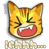 Face Cat 16